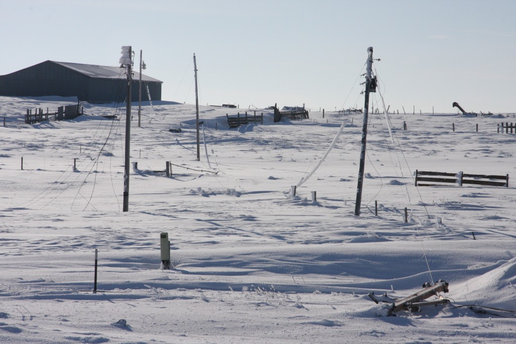 Downed power lines after an ice storm on a snow covered field